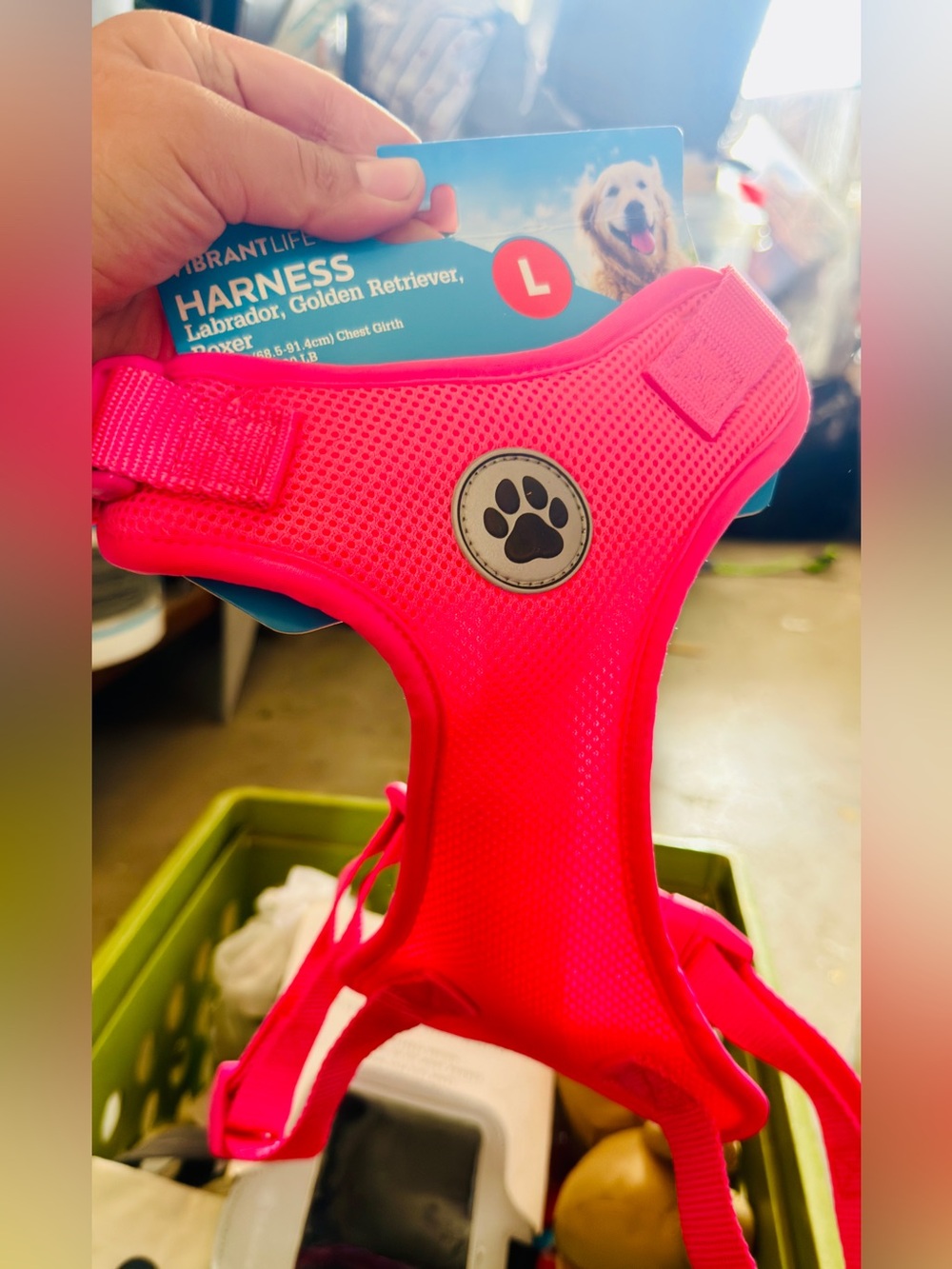 Vibrant Hot Pink Mesh Dog Harness with Paw Emblem